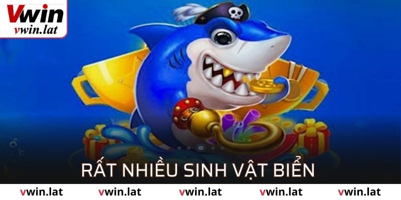 Đa dạng sinh vật biển mà để bạn thảo mái săn bắt