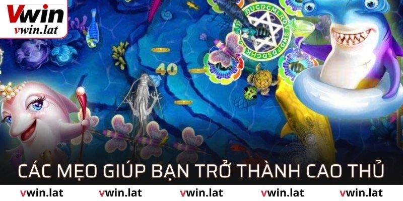 Mẹo chơi hữu ích cho bạn trước khi bắn cá VWIN