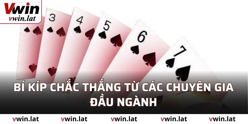 Bí kíp chắc thắng từ các chuyên gia đầu ngành