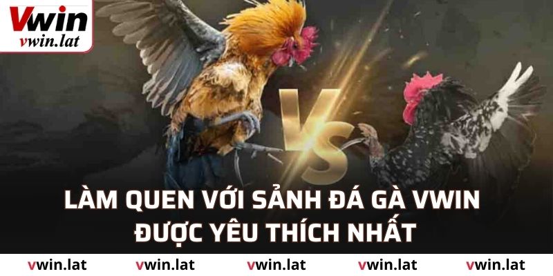 Làm quen với sảnh đá gà VWIN được yêu thích nhất