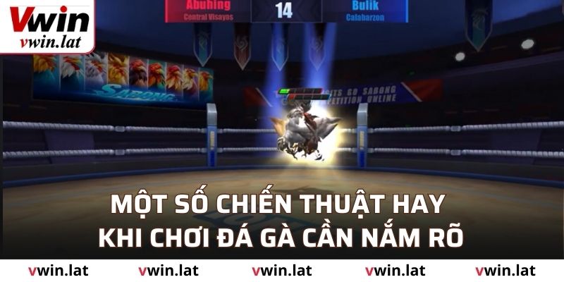 Một số chiến thuật hay khi chơi đá gà cần nắm rõ