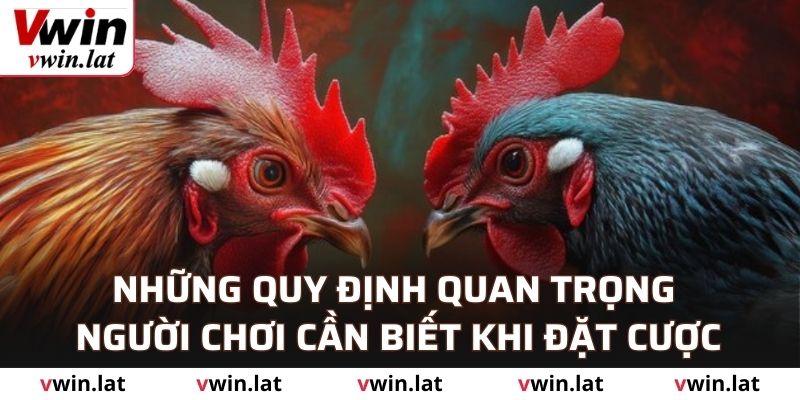 Những quy định quan trọng người chơi cần biết khi đặt cược